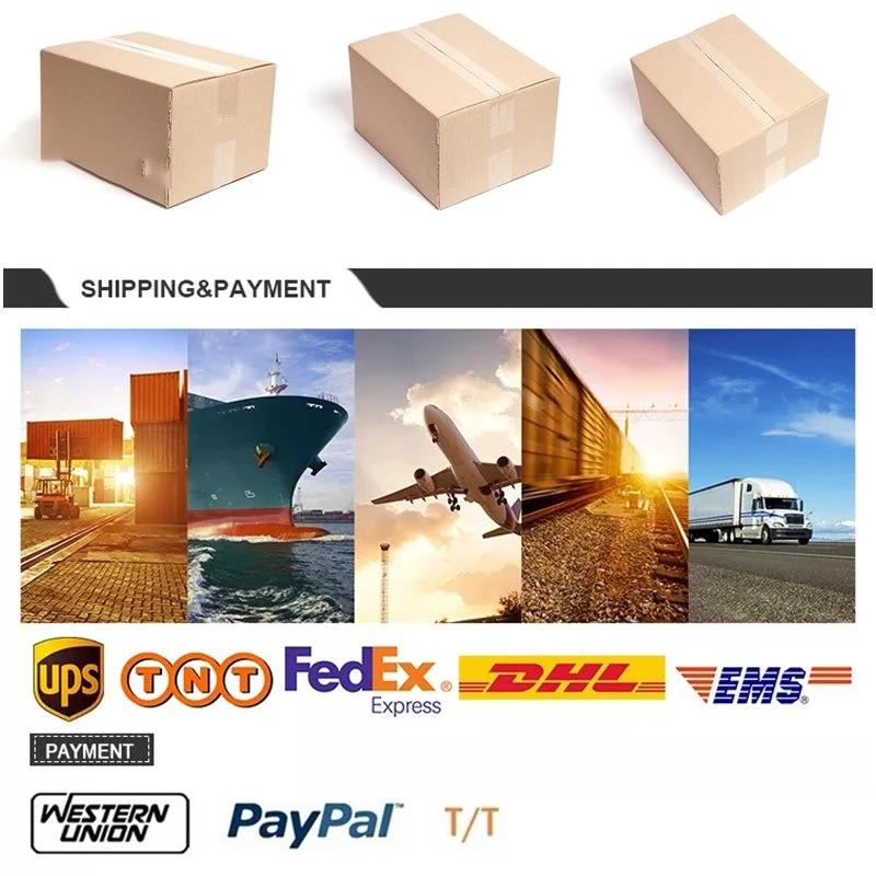 Delivery and shipment Delivery and shipment